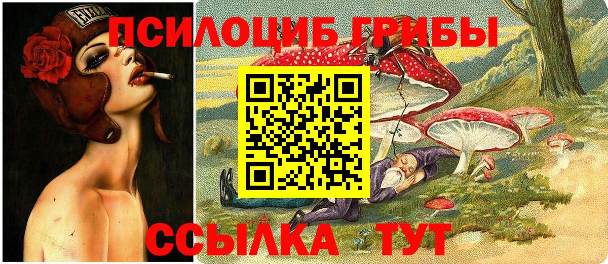 Псилоцибиновые грибы Magic Shrooms Нурлат