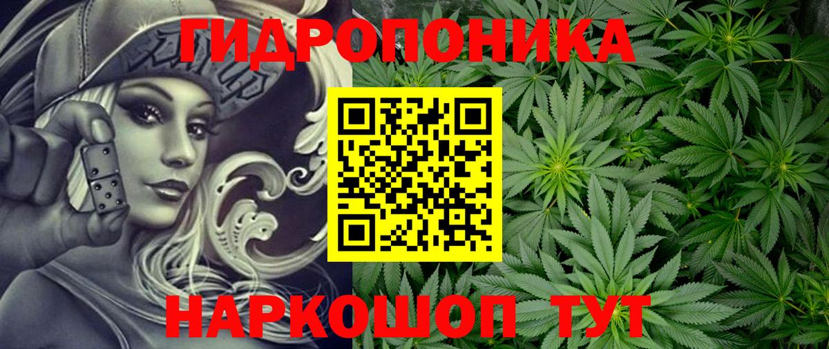 Бошки Шишки OG Kush  Конопля VHQ  Марихуана SATIVA & INDICA  Нурлат  Вход с VPN  Каннабис OG Kush 